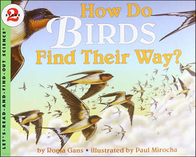 How Do Birds Find Their Way?