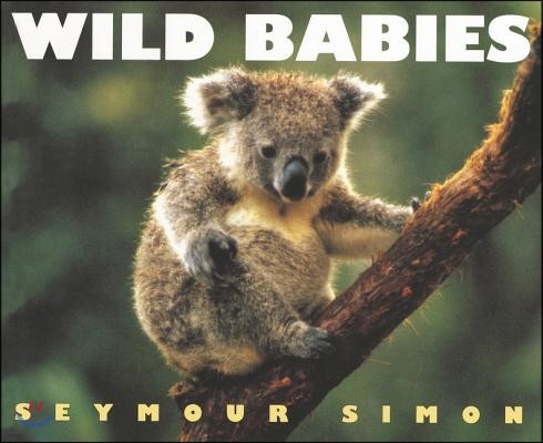 Wild Babies