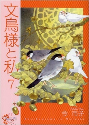 文鳥樣と私 7