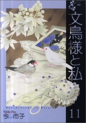 文鳥樣と私 11