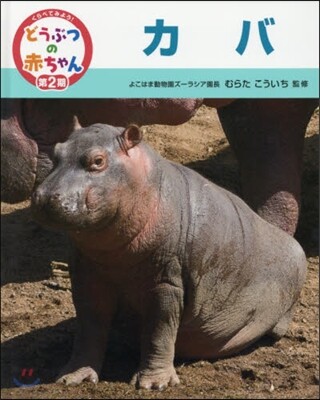カバ