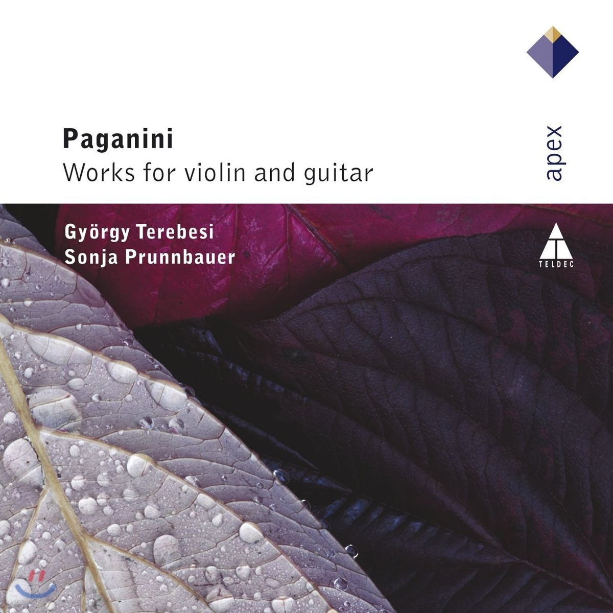Gyorgy Terebesi 파가니니: 바이올린과 기타를 위한 작품집 - 죄르지 테레베시, 소냐 프룬바우어 (Paganini: Works for Violin and Guitar)
