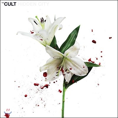 The Cult ( Ʈ) - Hidden City