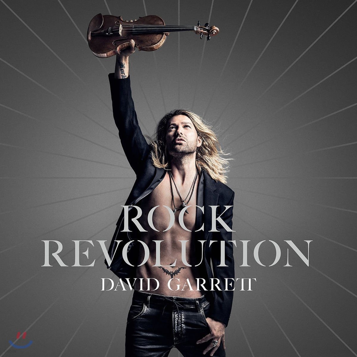 David Garrett 데이빗 가렛 록 레볼루션 (Rock Revolution) [2 LP]