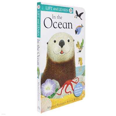 Lift and Learn: In the Ocean