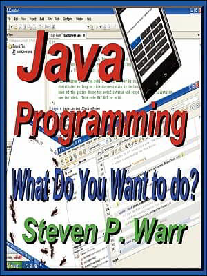 Java Programming: What Do You Want To Do?