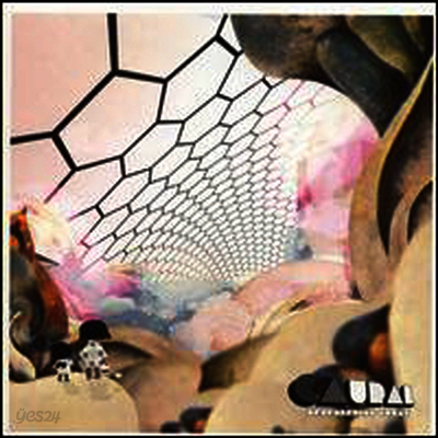 Caural - Remembering Today (LP)