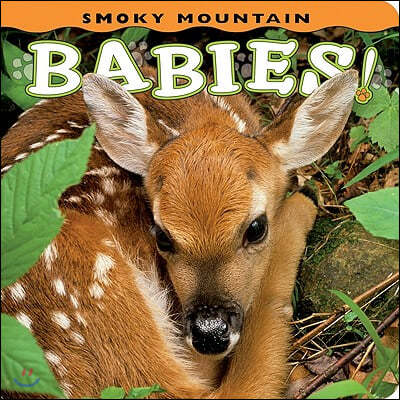 Smoky Mountain Babies!