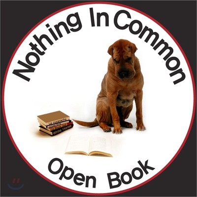 Nothing In Common (  Ŀ) - Open Book
