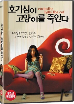 호기심이 고양이를 죽인다
