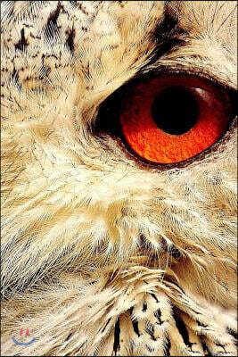 Createspace Independent Publishing Platform Orange Eye of an Owl Journal: Take Notes, Write Down Memories in This 150 Page Lined Journal