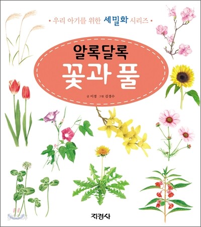 알록달록 꽃과 풀