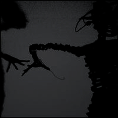 Twilight Singers — Dynamite Steps 앨범 커버