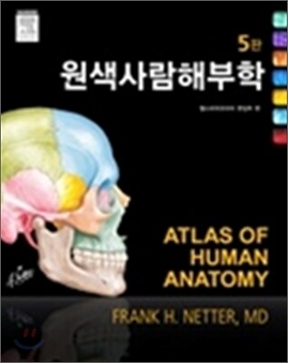 원색 사람 해부학