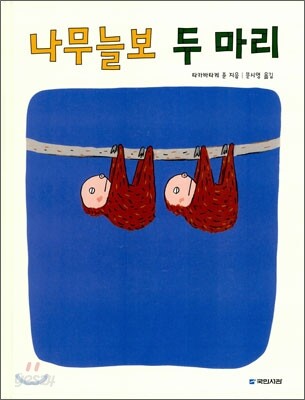 나무늘보 두 마리