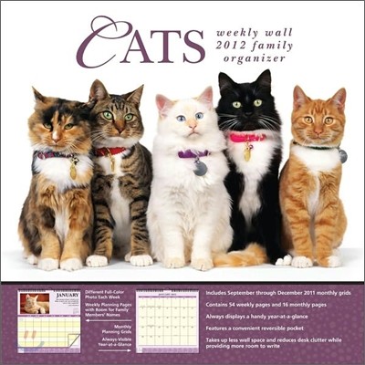 2012 Cats Weekly Wall Calendar