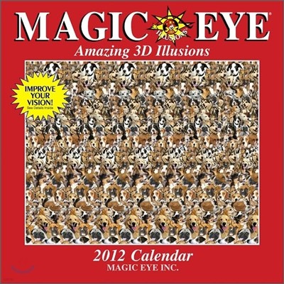 2012 Magic Eye Wall Calendar