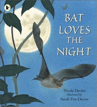 Bat Loves the Night