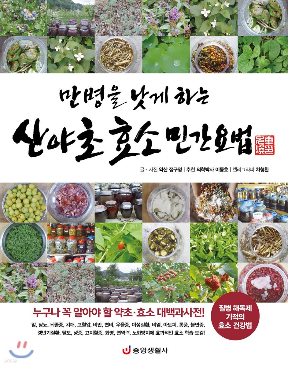 만병을 낫게 하는 산야초 효소 민간요법