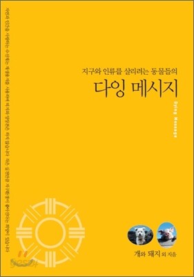 다잉 메시지