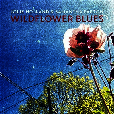 Jolie Holland & Samantha Parton — Wildflower Blues 앨범 커버
