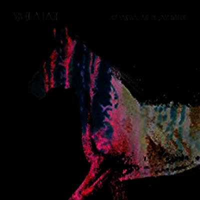 Hope Sandoval & The Warm Inventions — Son Of A Lady (EP) 앨범 커버