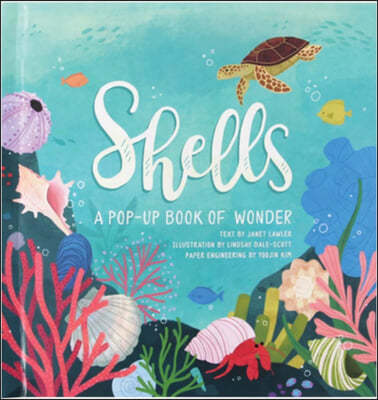 Shells: A Pop-Up Book of Wonder