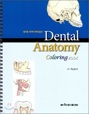 Dental Anatomy Coloring BOOK