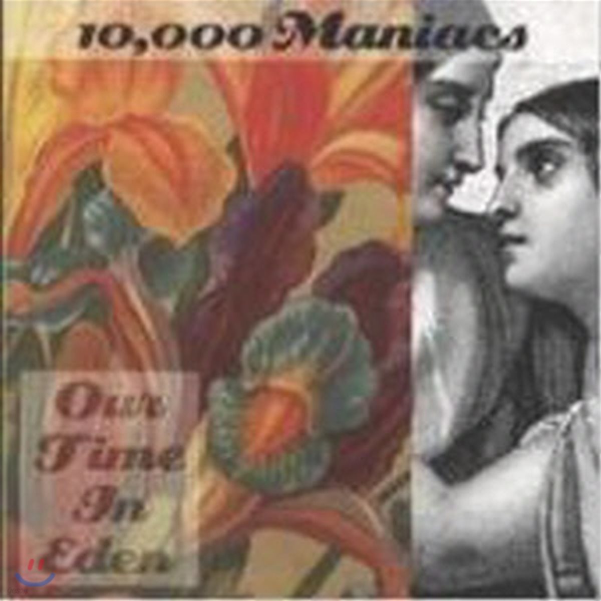 10000 Maniacs / Our Time In Eden (미개봉)