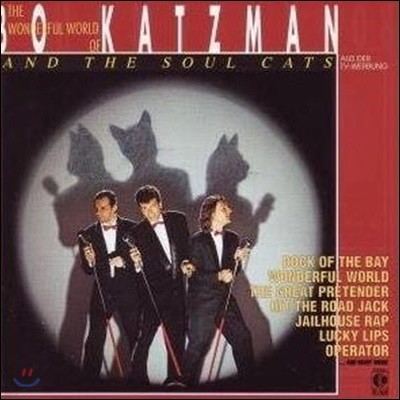 [߰] Bo Katzman And The Soul Cats / The Wonderful World of ()