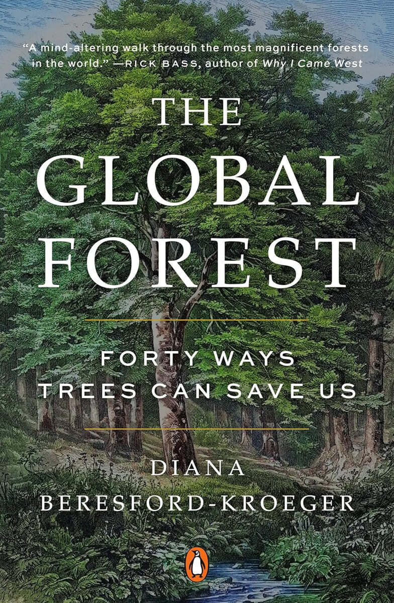 The Global Forest