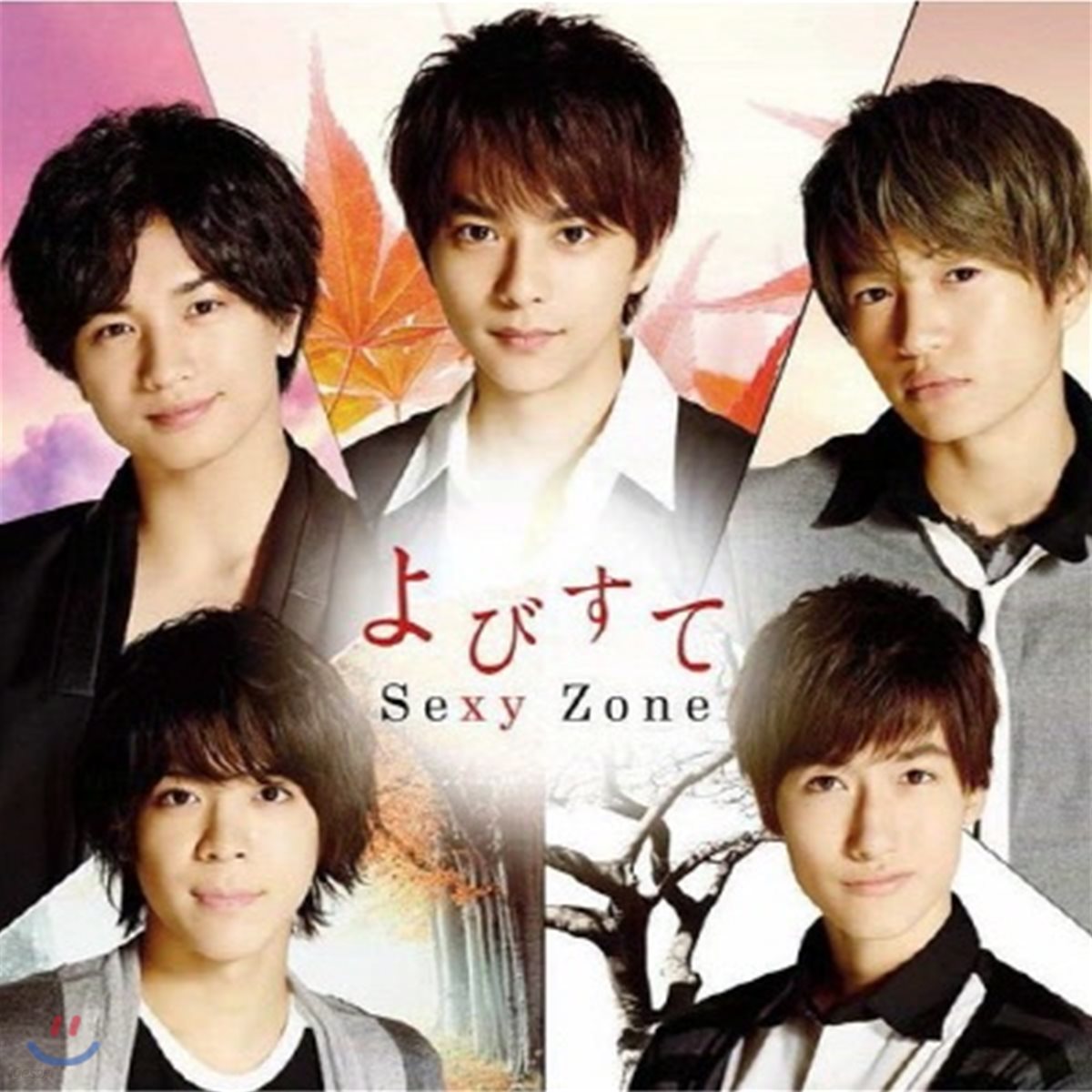 Sexy Zone / よびすて (일본반/Single/미개봉/pcca70555)