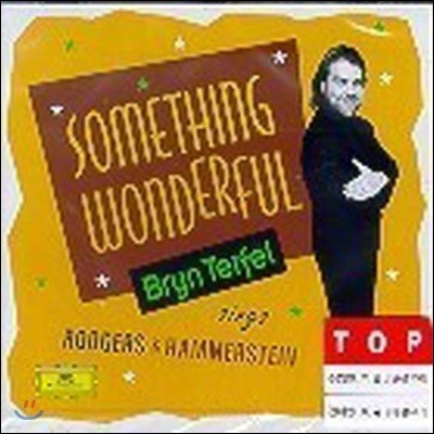 [߰] Bryn Terfel / Something Wonderful - Sings Rodgers & Hammerstein (dg4126)