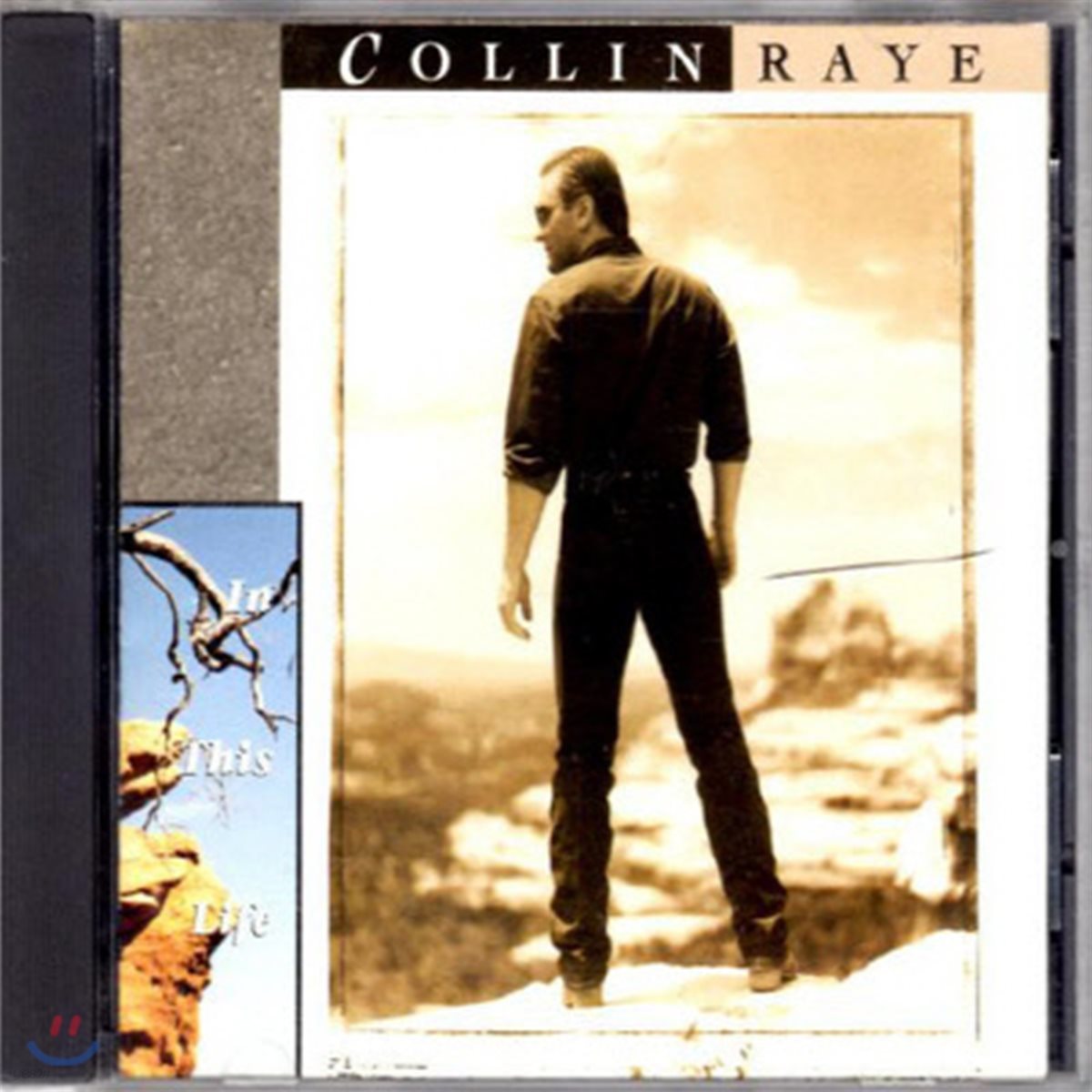 [중고] Collin Raye / In This Life (수입)