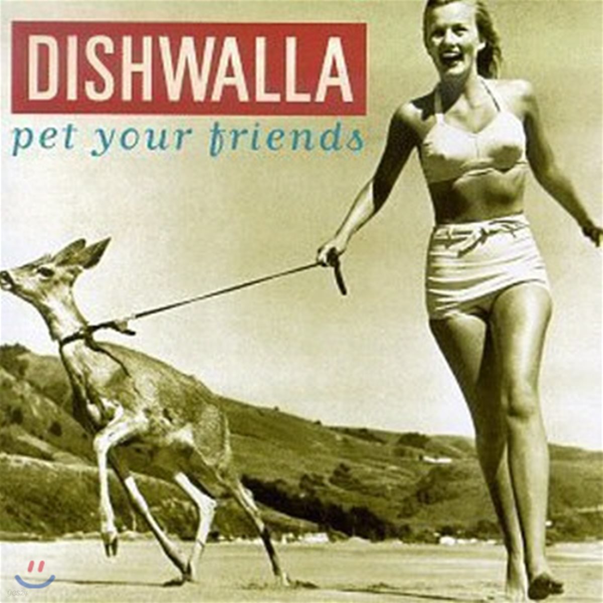 [중고] Dishwalla / Pet Your Friends