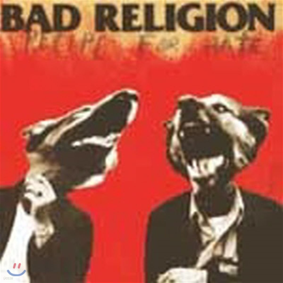 [중고] Bad Religion / Recipe for Hate