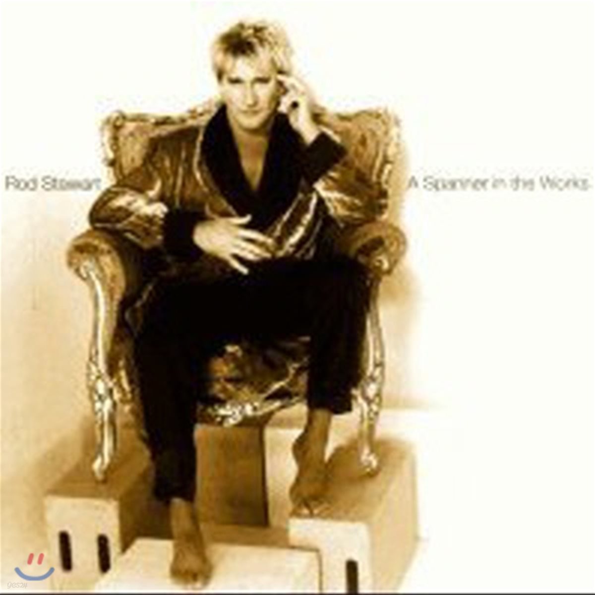 [중고] Rod Stewart / A Spanner In The Works