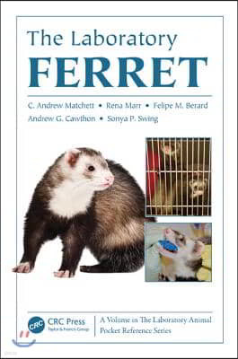 Laboratory Ferret