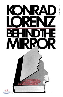 Behind the Mirror