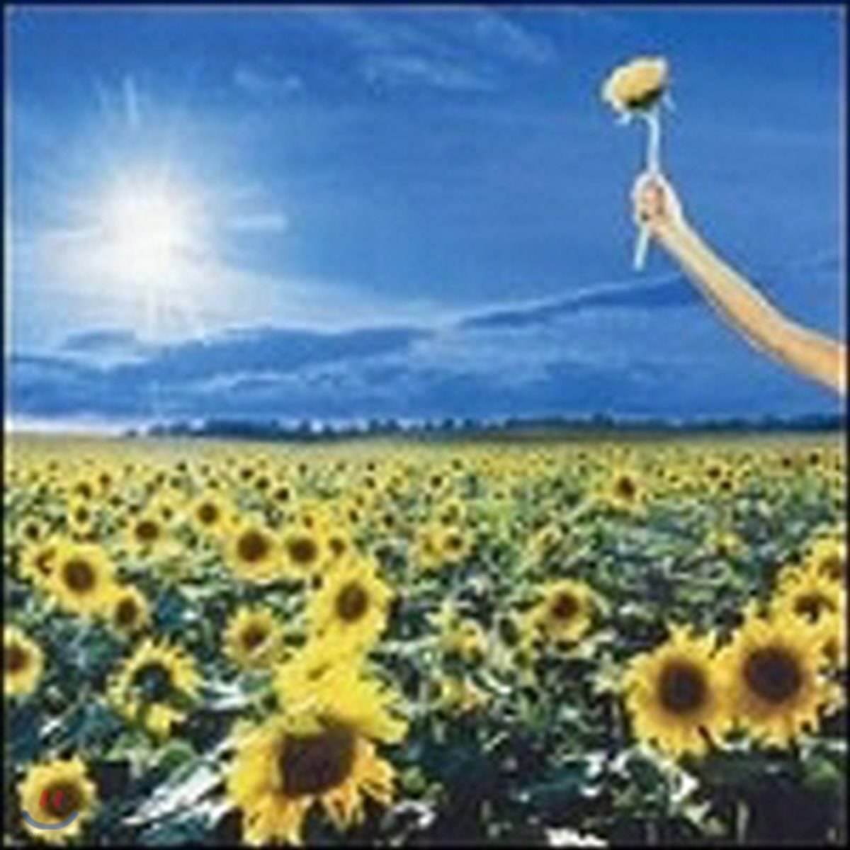 Stone Temple Pilots / Thank You : Greatest Hits (미개봉)