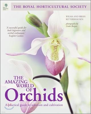 The Amazing World of Orchids