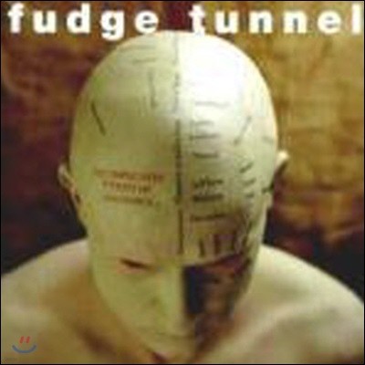 [중고] Fudge Tunnel / Complicated Futility Of Ignorance
