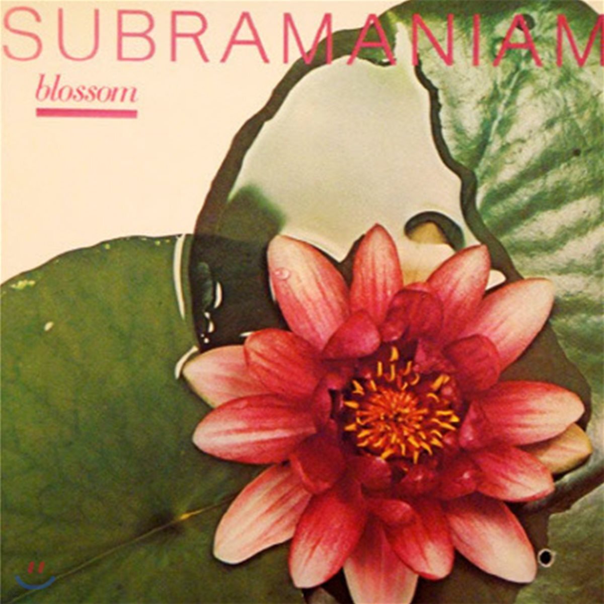 [중고] Dr. L. Subramaniam / Blossom