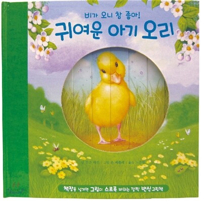 귀여운 아기 오리