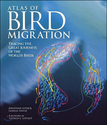 Atlas of Bird Migration: Tracing the Great Journeys of the World's Birds