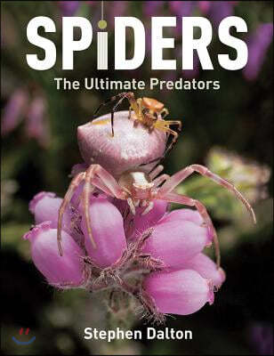 Spiders: The Ultimate Predators