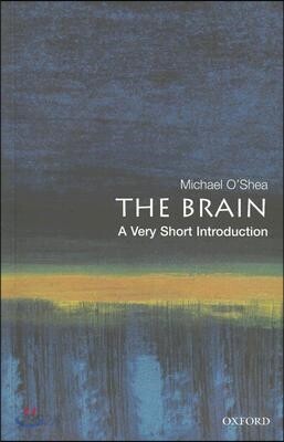 The Brain