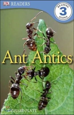 Ant Antics (DK Reader - Level 3 (Quality))