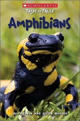 Amphibians