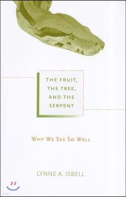The Fruit, the Tree, and the Serpent: Why We See So Well